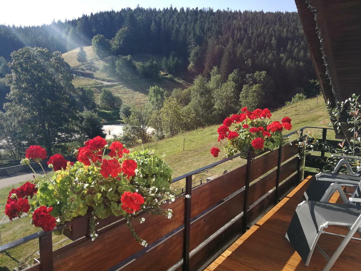 Ferienhaus Enzquelle Enzklösterle Εξωτερικό φωτογραφία